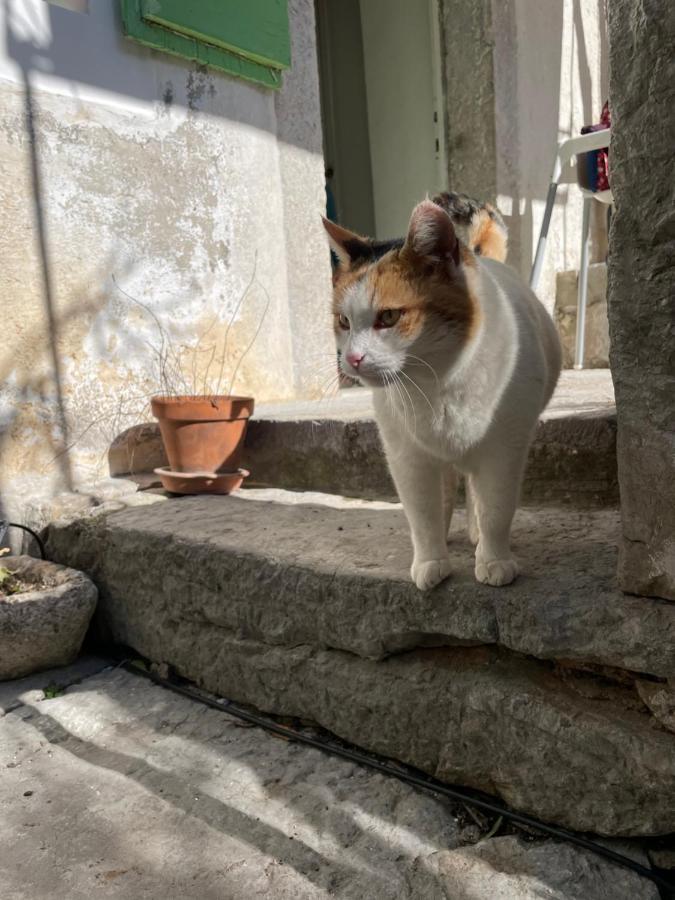 Maja Stone House Vila Kornić Exterior foto
